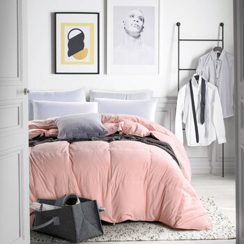 newsega新世嘉家纺 被子被芯 亲肤水洗棉90%鹅绒被 夏凉被子 粉 200*