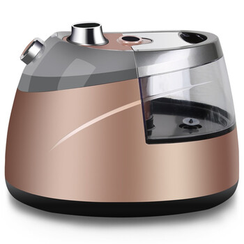 海尔（Haier）挂烫机 HGS-2510单杆香槟金蒸汽挂烫机10档2.5L