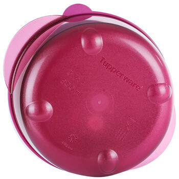 特百惠（Tupperware）午餐便携饭盒 晶彩圆碗2件套 幽兰紫