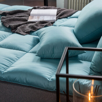 格兰贝恩(globon)家纺 床垫床褥 羽绒鹅毛榻榻米垫被 松石绿 填充量5.