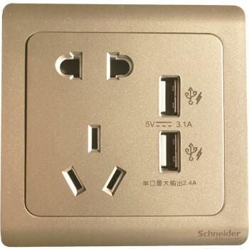 施耐德电气 开关插座面板 10A五孔插座带双USB充电插座 轻逸格调金E2S426_10USB2WG