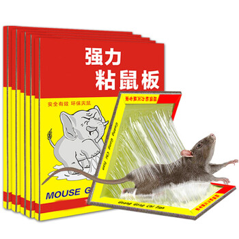 网吧灭蟑螂(图1)