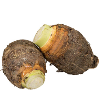 酷果汇 荔浦芋头 新鲜槟榔芋 香芋红芽芋 5斤大果(约3-5个)