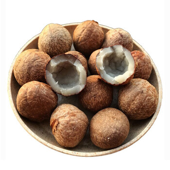 野生海椰皇海底椰子干货500g小椰子火锅煲汤材料