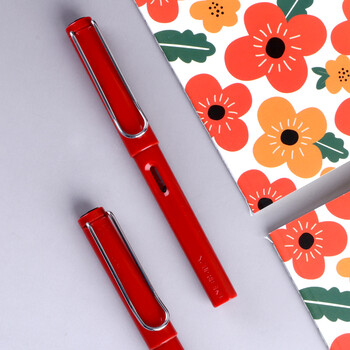 六品堂 钢笔墨囊练字笔墨水书法钢笔学生用练字男女刚笔办公用 红色