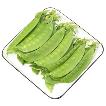 密云农家本地自种现摘荷兰豆250g新鲜时令蔬菜现摘现发