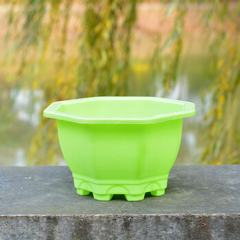 其他《幸运草》园艺花盆 新八角盆 八角盆(绿色) 小