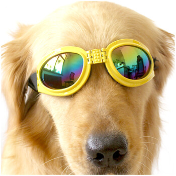 Mr Dog 宠物眼镜狗狗墨镜狗眼镜金毛萨摩太阳镜犬用防护眼镜大狗墨镜红色黄色 图片价格品牌报价 京东