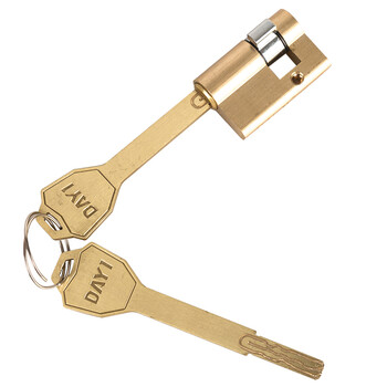 大一智能锁指纹锁锁芯一套 t5 锁芯 原装机械钥匙