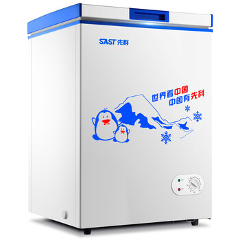 先科(sast) 冰柜 家用 小型冷藏冷冻柜迷你卧式小冷柜 91l 蓝色_ 4