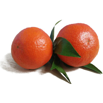 翠汇源 美国糖桔 新鲜水果 世纪红桔子 包邮 5斤装