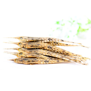 栢晟 海麻雀 泡酒药材 海燕 泡酒料 海燕 搭配 蛤蚧 海龙 海星 人参