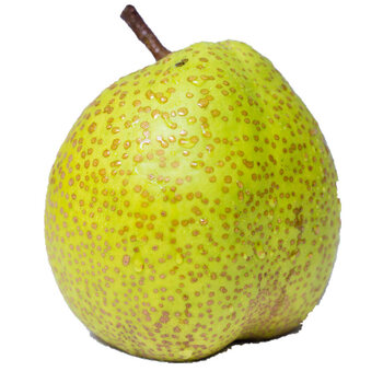 山东烟台莱阳梨 莱阳慈梨大果 新鲜水果梨子 顺丰2.5kg