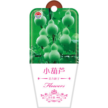 北京东升种业（DS）小葫芦  花卉种子  四季种植 家庭阳台 园艺休闲