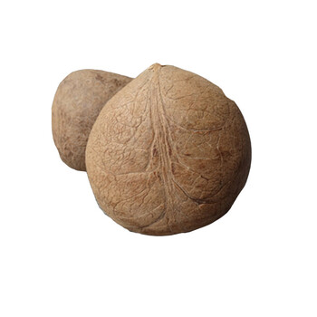 新鲜海椰皇迷你小椰子煲汤料海底椰海椰王1000g约5-6个左右_ 5折现价