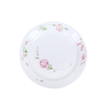 美国进口康宁餐具套装欧洲香草20-LV 20-EC 20-RS 20-EH 碗盘套装 玫瑰 22-RS
