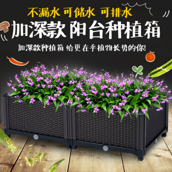 菜园兄弟阳台种植箱长方形塑料花盆家庭屋顶菜园特大组合园艺种菜盆种植槽加宽10联0 80 26cm 图片价格品牌报价 京东