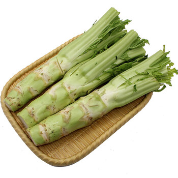 维桑 棒棒菜 5斤 四川青菜新鲜棒棒青菜芥菜 青脑壳芥菜菜笋 生鲜