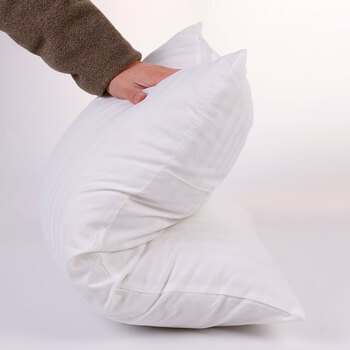 枕头单人枕芯学生保健护颈枕心45x72一对拍2 白色