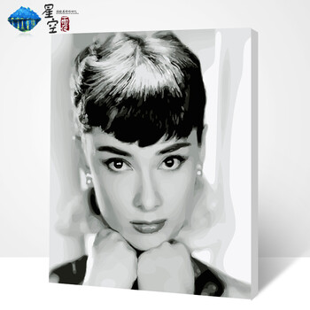 diy数字油画客厅卧室人物明星抽象画手绘装饰画奥黛丽赫本sn6509