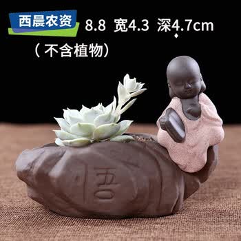 彩砂陶盆栽小和尚可爱佛禅意陶瓷多肉摆件 悟字款式-书 小