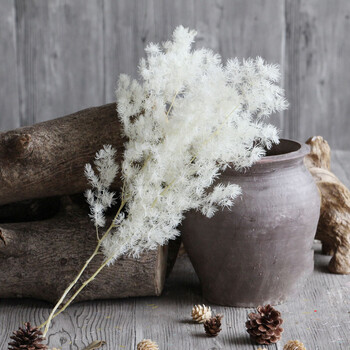 【蓬莱松】天然艺术干花配花永生配草家居室内摆设松树枝拍摄道具