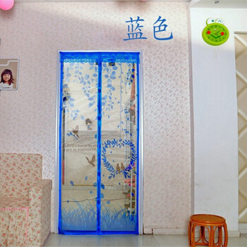 
                                        菠萝蜜 免穿磁性纱门 防蚊门帘窗纱 新款门帘加密 磁性软纱门 免穿防蚊子门爱情鸟纱门 绿色 80*200                