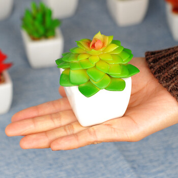 迷你仿真多肉小盆栽桌面办公桌植物摆设置物架盆景装饰品盆栽套装 白