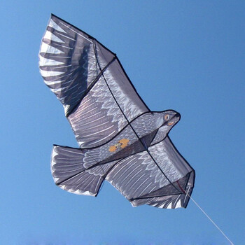 潍坊风 现代风筝 立体黑鹰 微风 易飞 仅大号鹰2.5米