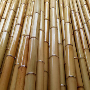 竹竿各种规格竹子菜园搭架篱笆栅栏彩旗装潢跳舞竹杆 2厘米粗1米长一根（5根起拍）