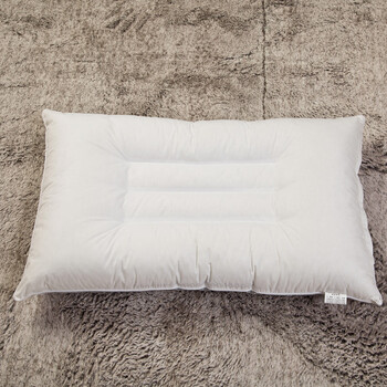 北极绒床品家纺 决明子磁疗枕头 单人枕芯 24磁决明子枕 48*74cm