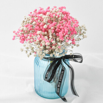 粉白满天星(玻璃瓶装)