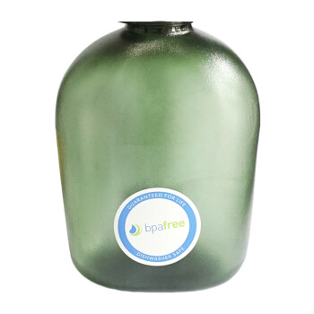 
                                                            美国进口户外水壶酒壶水杯运动水瓶1000ml 大容量便携防漏塑料登山壶太空杯 旅游外出 墨绿色                