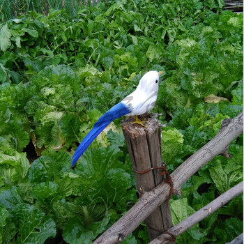 小鸟家居装饰品摄影道具橱窗摆件摄影道具婚庆引路装饰 乳白色 22cm