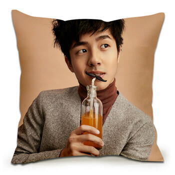 抱枕双面定制作来图定做学生靠枕头靠垫自定义diy真人照片 刘昊然-11