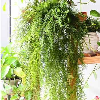 果林轩仿真手感绿色藤条垂挂水草场景布置柳叶植物墙精品壁挂仿真藤