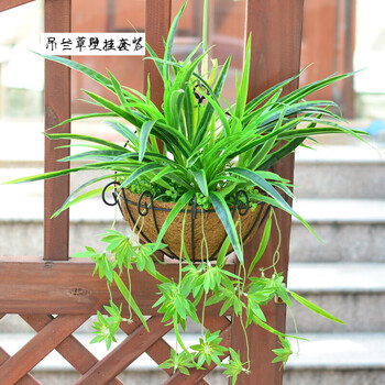 仿真花套装挂壁花花篮壁挂吊篮假花玫瑰花植物墙壁阳台装饰花艺 带花