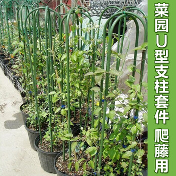 落红植物攀爬架园艺支架葡萄架黄瓜支架拱型爬藤架蔬菜植物支架家庭阳台种植1 2米高4根大 图片价格品牌报价 京东