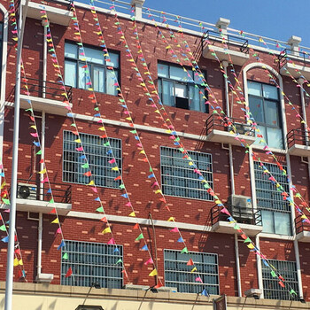 三角彩旗 装饰彩旗 婚庆串旗 开张开业挂饰结婚彩色小红旗 中号18*18