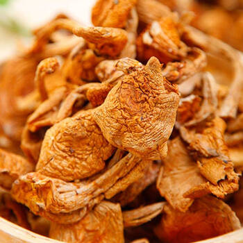 恬女神东北大兴安岭小黄蘑滑子菇黄蘑菇500g