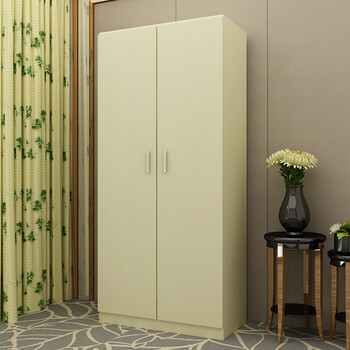 简易两门宝宝衣柜简约现代经济型实木质单人2门衣橱组合 深蓝色 2门