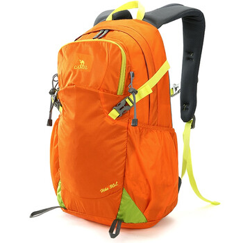 卡拉羊(caarany)减负护脊双肩背包小学生书包cx2e611银灰