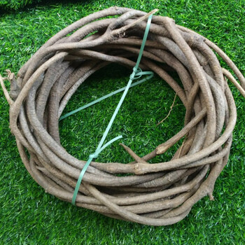 藤印象 树藤装饰枯藤山藤条老藤红山藤蔓仿真葡萄叶树枝干管道吊顶