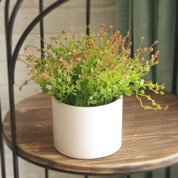 花明柳媚追【跳舞草】仿真盆栽 创意装饰摆件 假花绿植 餐厅客厅书房