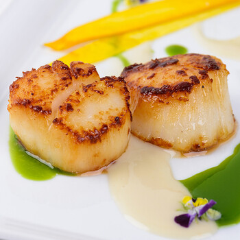 斐宇兄弟香煎玉带(冻调制扇贝柱)300g 瑶柱 海鲜水产