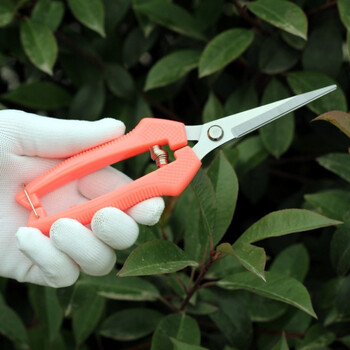 五金工具 手动工具 dwz 不锈钢摘果稀果剪黑枸杞子疏花葡萄采摘剪刀