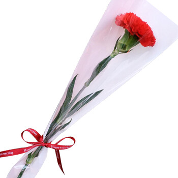 欣尚鲜花速递 单支康乃馨鲜花公司活动用花全国同城北京上海广州广州