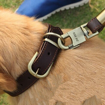 狗狗项圈脖圈狗圈颈圈小中型犬金毛大型犬拉布拉多狗脖套 中号2.