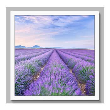 薰衣草装饰画客厅现代简约沙发背景墙挂画卧室餐厅床头壁画 i 50*50
