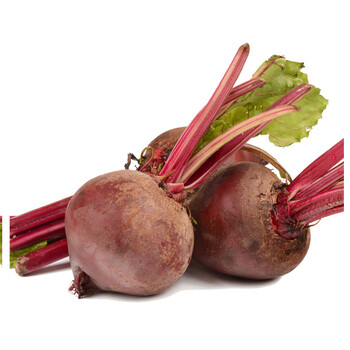 彩虹云宝有机红根甜菜根500g有机蔬菜新鲜甜菜根